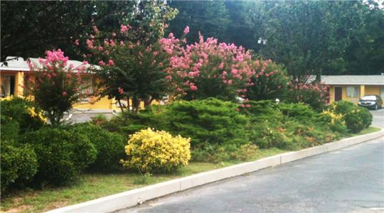 Sunrise Inn רומא מראה חיצוני תמונה